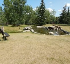 A Park With a Bench, a Bridge and Running Water