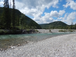 River With Stony Bank