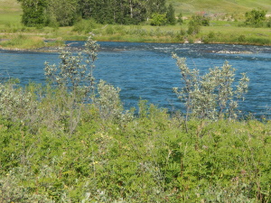 On the Bank of a Running River